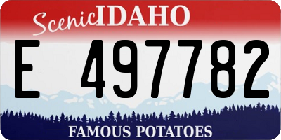 ID license plate E497782