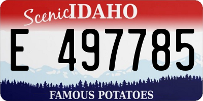 ID license plate E497785