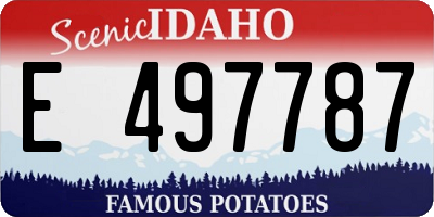 ID license plate E497787