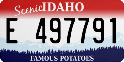 ID license plate E497791