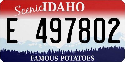 ID license plate E497802