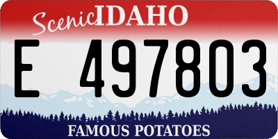 ID license plate E497803