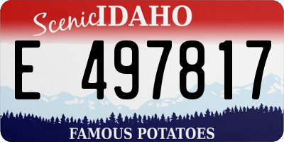 ID license plate E497817