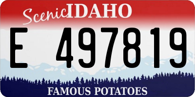 ID license plate E497819