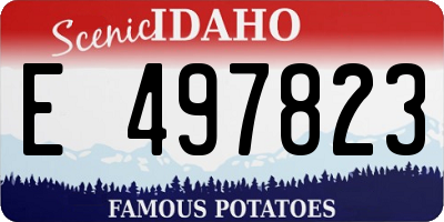 ID license plate E497823
