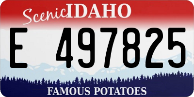 ID license plate E497825