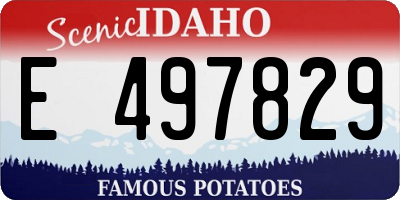 ID license plate E497829