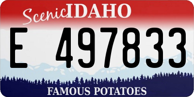 ID license plate E497833