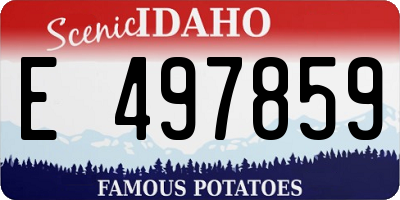 ID license plate E497859