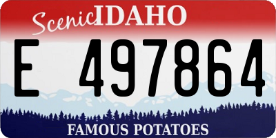 ID license plate E497864