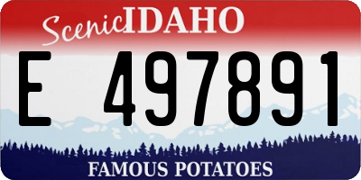 ID license plate E497891