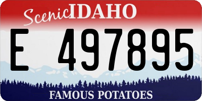ID license plate E497895