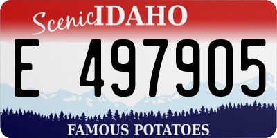 ID license plate E497905