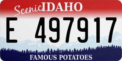 ID license plate E497917
