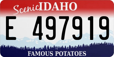 ID license plate E497919