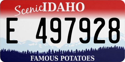 ID license plate E497928