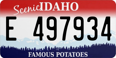 ID license plate E497934