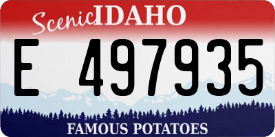 ID license plate E497935