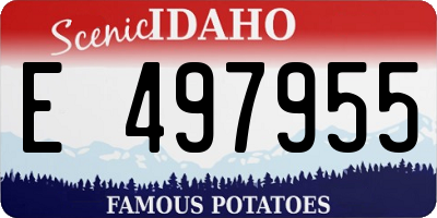 ID license plate E497955