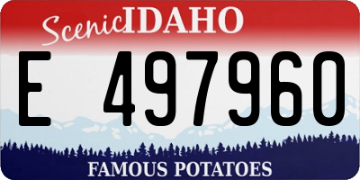 ID license plate E497960