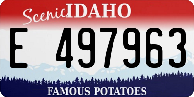 ID license plate E497963