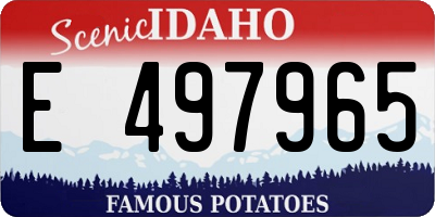 ID license plate E497965