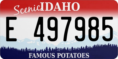 ID license plate E497985