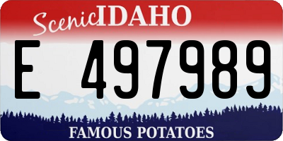 ID license plate E497989