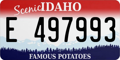 ID license plate E497993