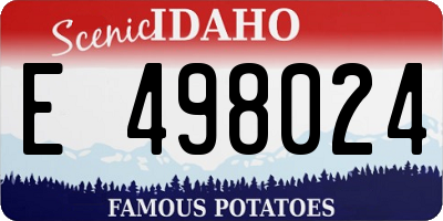 ID license plate E498024