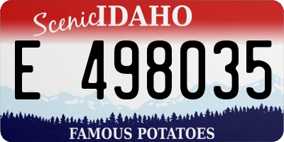 ID license plate E498035