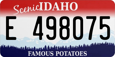 ID license plate E498075