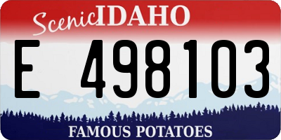 ID license plate E498103