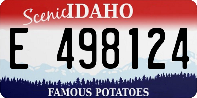 ID license plate E498124