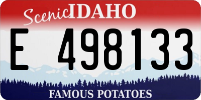 ID license plate E498133