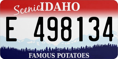ID license plate E498134