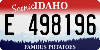 ID license plate E498196
