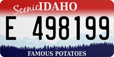 ID license plate E498199