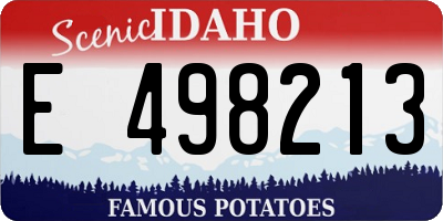 ID license plate E498213