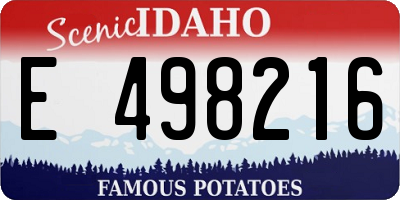 ID license plate E498216