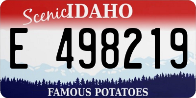 ID license plate E498219