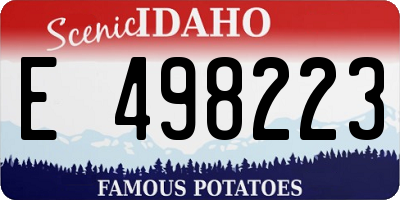 ID license plate E498223