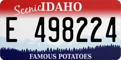 ID license plate E498224