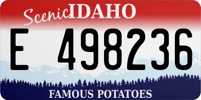 ID license plate E498236