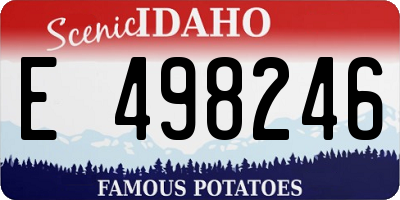 ID license plate E498246