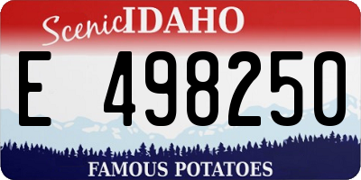 ID license plate E498250