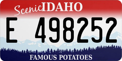 ID license plate E498252