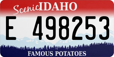 ID license plate E498253