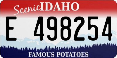 ID license plate E498254