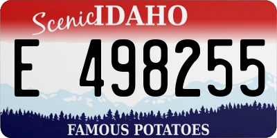 ID license plate E498255